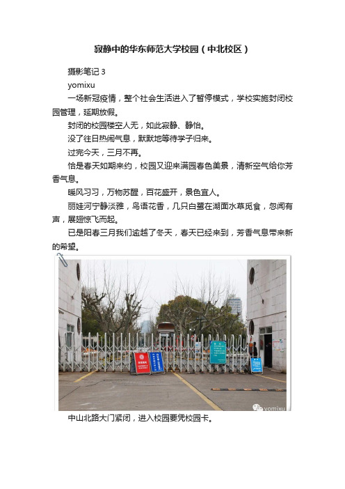 寂静中的华东师范大学校园（中北校区）