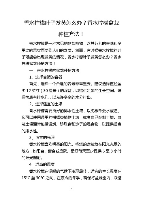 香水柠檬叶子发黄怎么办？香水柠檬盆栽种植方法!