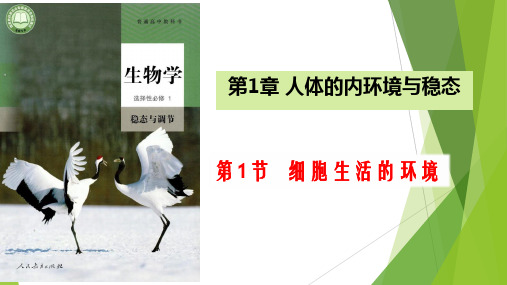 【课件】第一章内环境与稳态复习课件高二上学期生物人教版选择性必修1