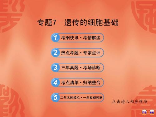 2013年高考生物复习课件: 遗传的细胞基础