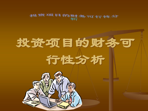 投资项目的财务可行性分析