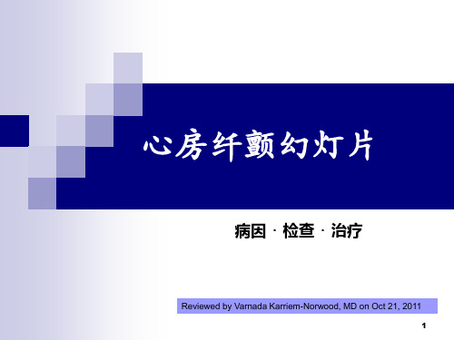 房颤病因检查与治疗ppt课件