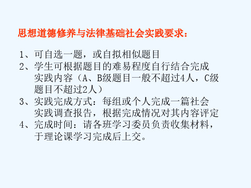 思想道德修养与法律基础社会实践题目