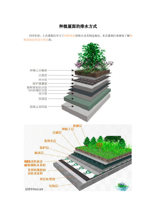 建筑材料与构造：种植屋面的排水方式