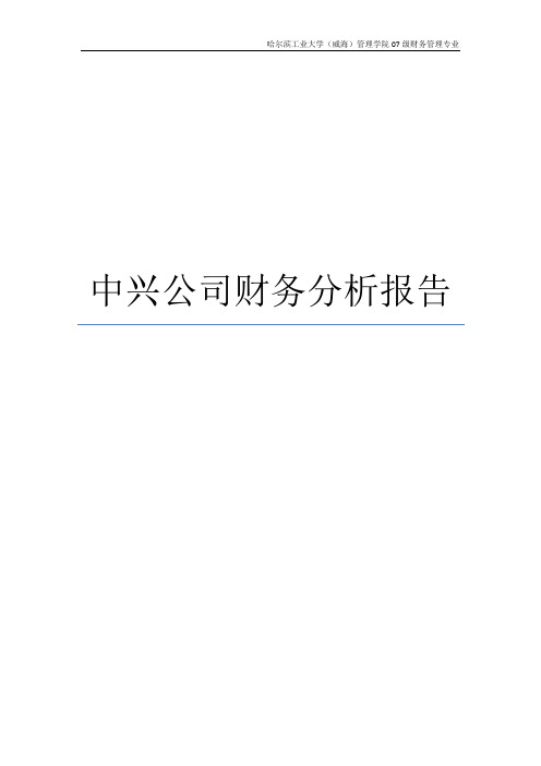 中兴公司2009年财务分析报告