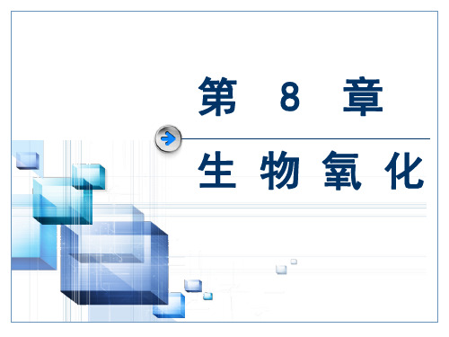第8章：生物氧化