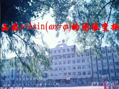 y=Asin(ωx+φ)图像变换说课课件