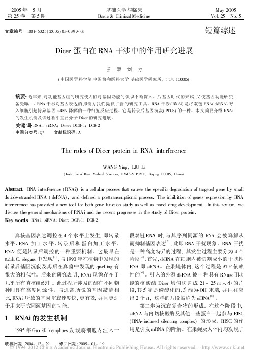 Dicer蛋白在RNA干涉中的作用研究进展