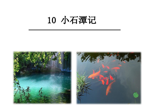 10、《小石潭记》 带翻译