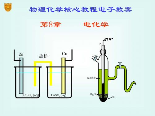 第八章 电化学