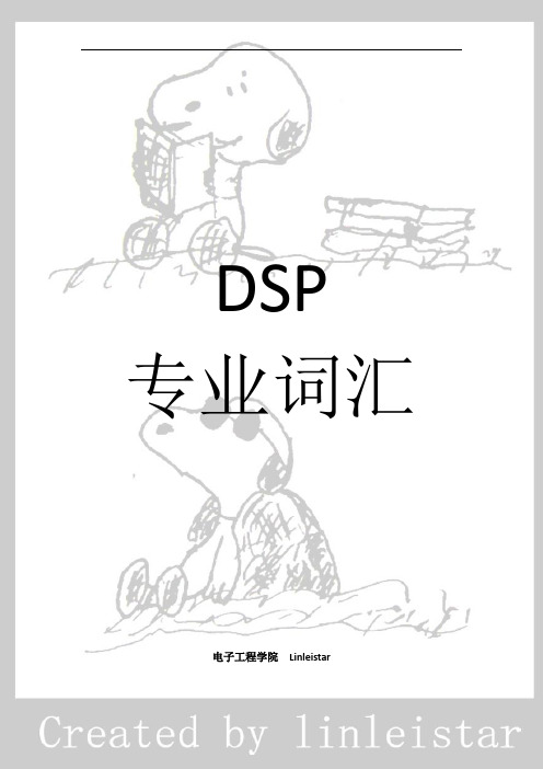 DSP专业词汇