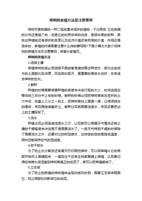 榉树的养殖方法及注意事项