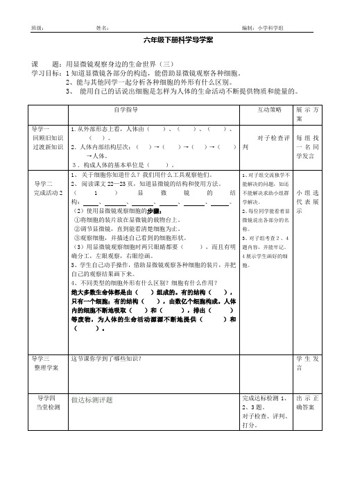 六年级下导学案用显微镜观察身边的生命世界