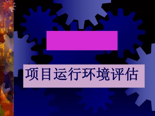 项目运行环境评估概述(PPT 28张)