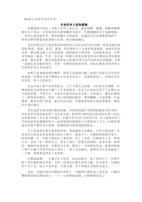 2019山东省东营市中考语文阅读理解含答案解析