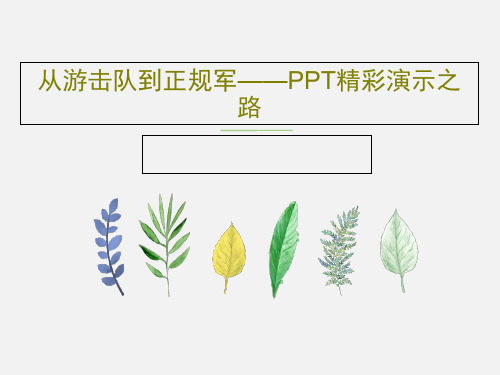 从游击队到正规军——PPT精彩演示之路PPT文档80页