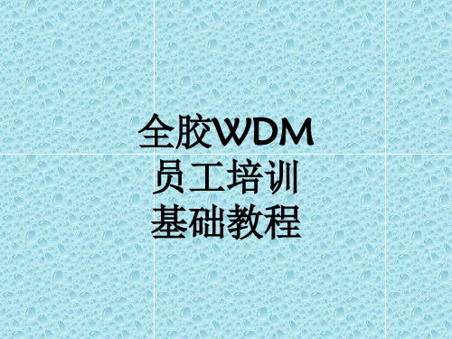 高意WDM员工培训教程