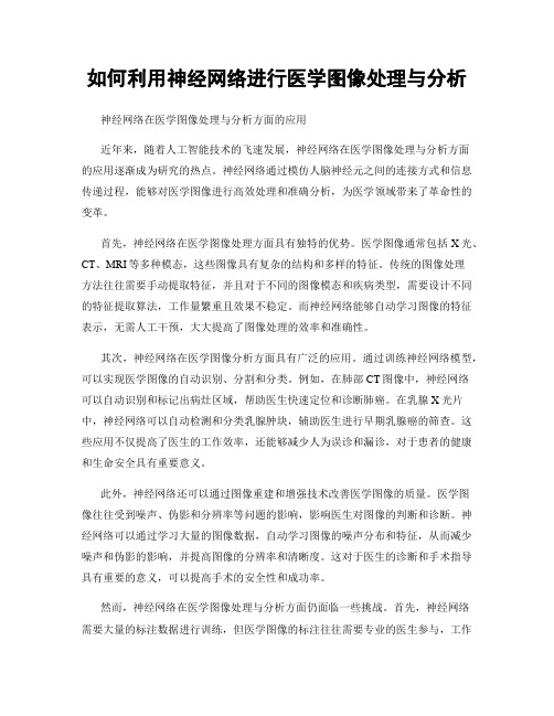 如何利用神经网络进行医学图像处理与分析