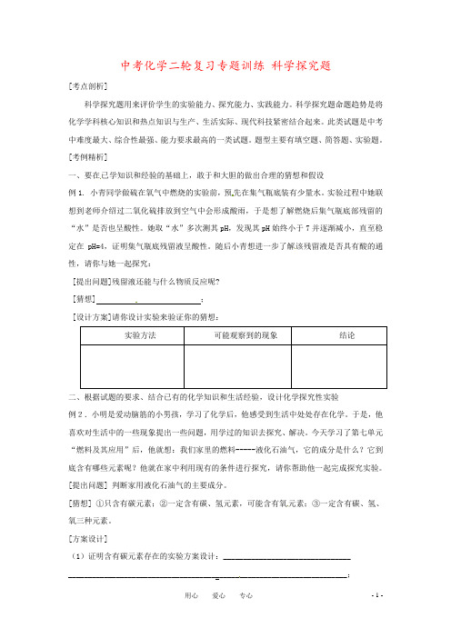 中考化学二轮复习专题训练 科学探究题