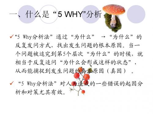 5Why分析