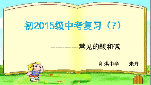 鲁教版九年级下册化学《到实验室去：探究酸和碱的化学性质》课件