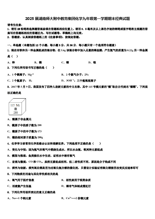 2025届湖南师大附中教育集团化学九年级第一学期期末经典试题含解析