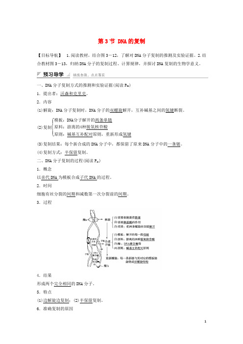 高中生物 第3章 第3节 DNA的复制课时作业 新人教版必修2