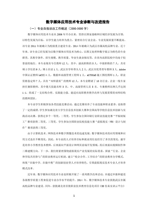 数字媒体技术专业诊断与改进报告