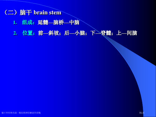 脑干外形和内部一般结构神经解剖学讲稿专家讲座