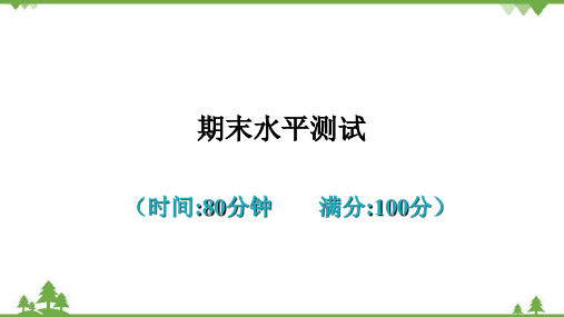 人教版 初中物理九年级全册 期末水平测试课件