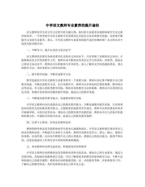 中学语文教师专业素养的提升途径