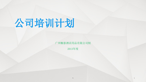 《公司培训计划》PPT课件