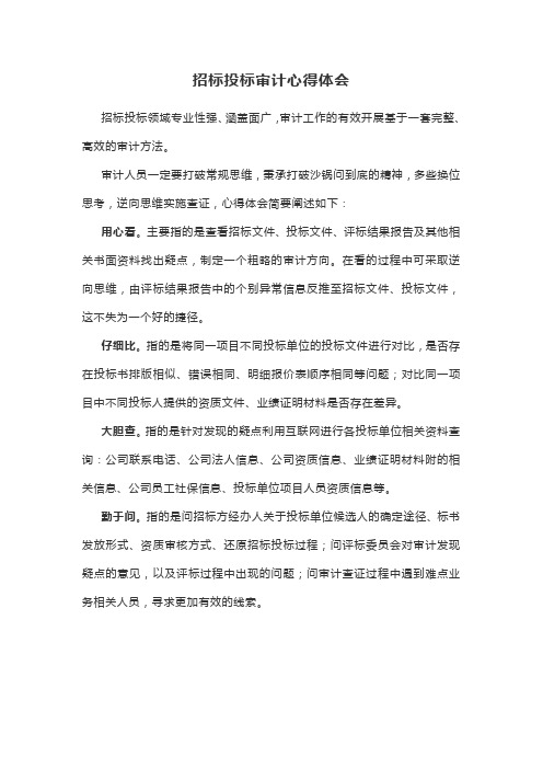 工程招标投标审计心得体会