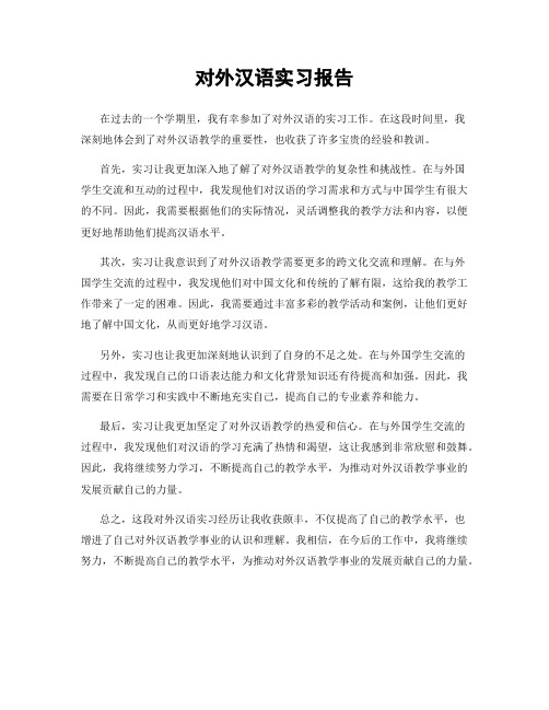 对外汉语实习报告