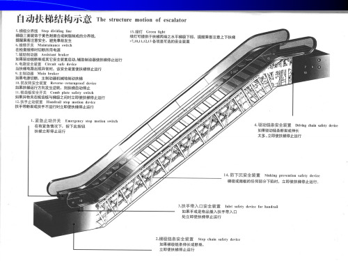 自动扶梯和自动人行道讲义