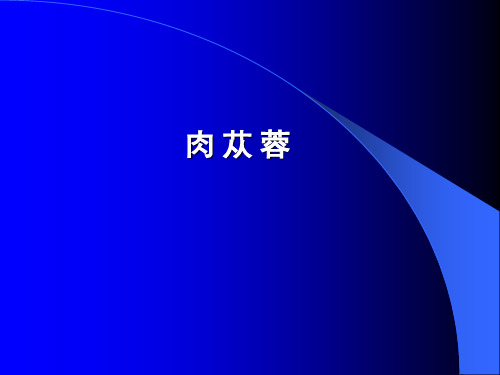 中药鉴定学——肉苁蓉