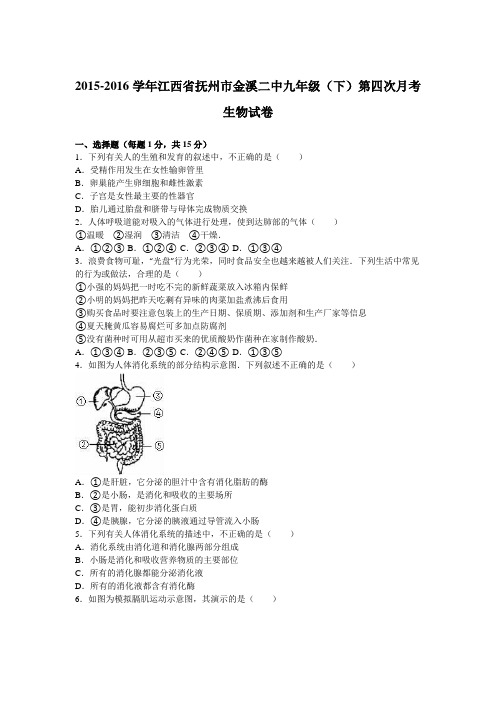 江西省抚州市金溪二中2016届九年级(下)第四次月考生物试卷(解析版)