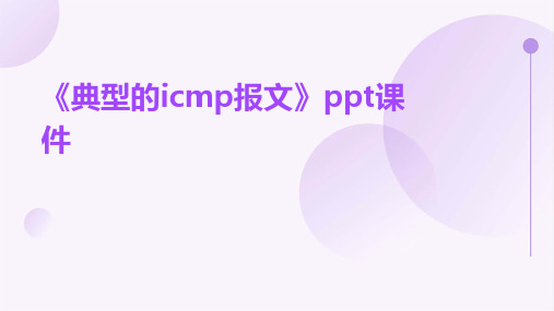 《典型的ICMP报》课件