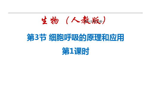 人教版高中生物必修一《细胞呼吸的原理和应用》细胞的能量供应和利用PPT(第1课时)