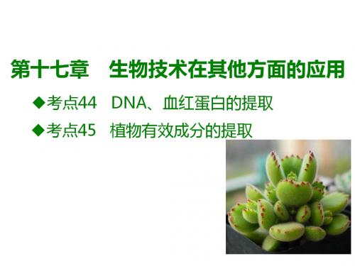 2019届高考生物A版一轮复习课件:第十七章 生物技术在其他方面的应用(共30张PPT)