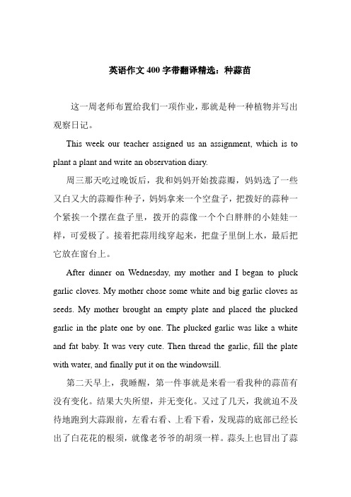 英语作文400字带翻译精选:种蒜苗