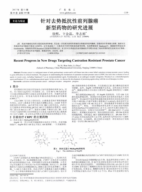 针对去势抵抗性前列腺癌新型药物的研究进展