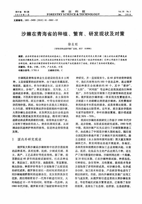 沙棘在青海省的种植、繁育、研发现状及对策