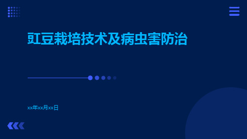 豇豆栽培技术及病虫害防治