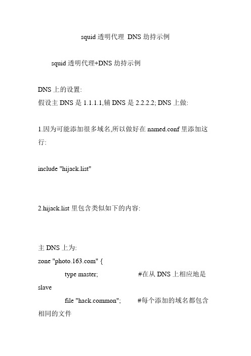 squid透明代理 DNS劫持示例