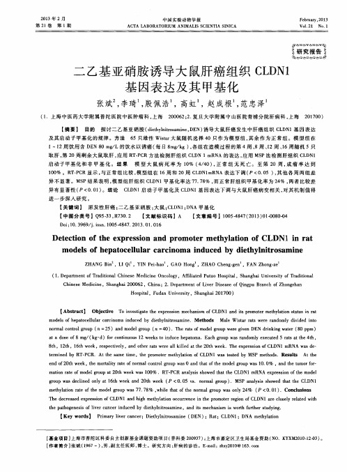 二乙基亚硝胺诱导大鼠肝癌组织CLDN1基因表达及其甲基化