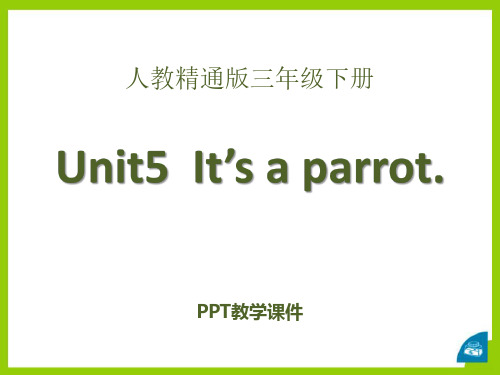 Unit 5《It’s a parrot》(Lesson 27)ppt精品课件