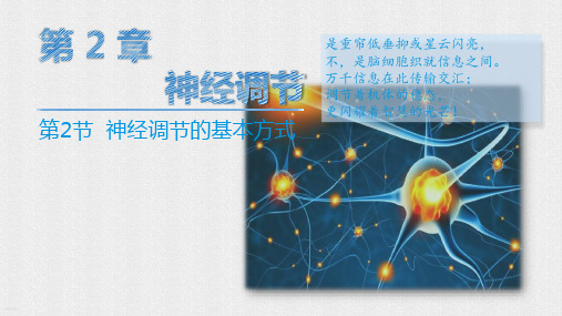 神经调节的基本方式高二生物优质课件(人教版2019选择性必修1)