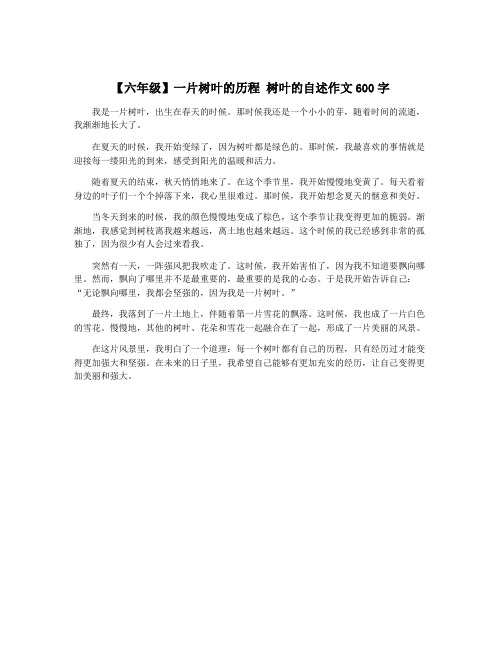 【六年级】一片树叶的历程 树叶的自述作文600字