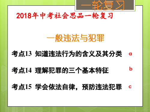 一般违法与犯罪(考点13、14、15)